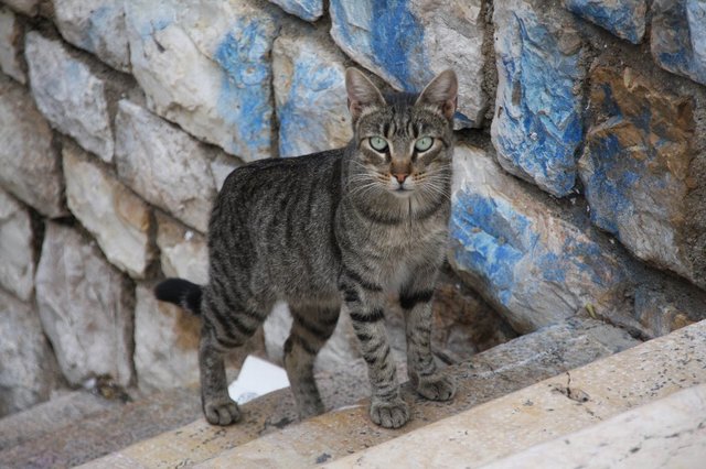 20081122_barcelonatrip_22_tarragona_cat